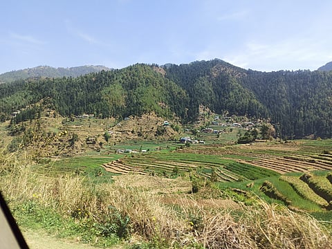 The terraced fields of the Jyuni Valley where wheat, maize and rice are grown